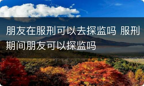 朋友在服刑可以去探监吗 服刑期间朋友可以探监吗