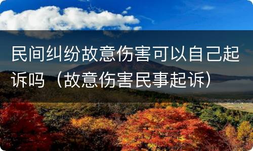 民间纠纷故意伤害可以自己起诉吗（故意伤害民事起诉）