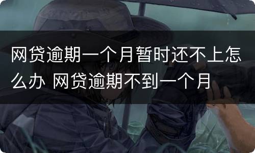 网贷逾期一个月暂时还不上怎么办 网贷逾期不到一个月