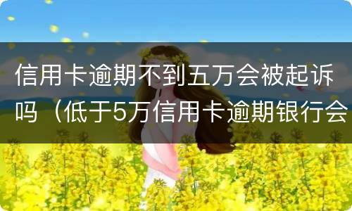 信用卡逾期不到五万会被起诉吗（低于5万信用卡逾期银行会起诉吗）