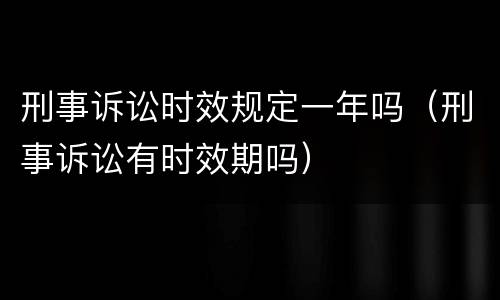 刑事诉讼时效规定一年吗（刑事诉讼有时效期吗）