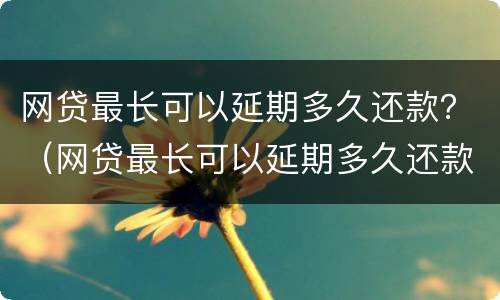 网贷最长可以延期多久还款？（网贷最长可以延期多久还款啊）