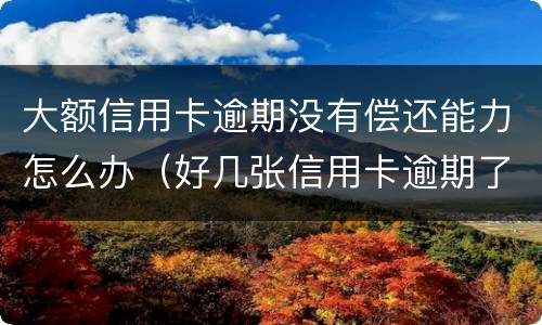 大额信用卡逾期没有偿还能力怎么办（好几张信用卡逾期了没能力还款怎么办）