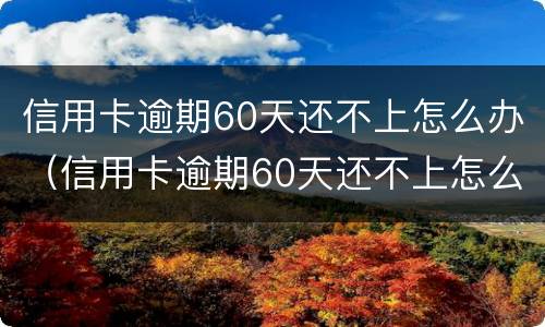 信用卡逾期60天还不上怎么办（信用卡逾期60天还不上怎么办呢）