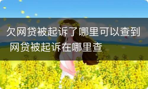 欠网贷被起诉了哪里可以查到 网贷被起诉在哪里查