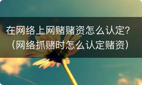 在网络上网赌赌资怎么认定？（网络抓赌时怎么认定赌资）