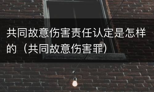 共同故意伤害责任认定是怎样的（共同故意伤害罪）