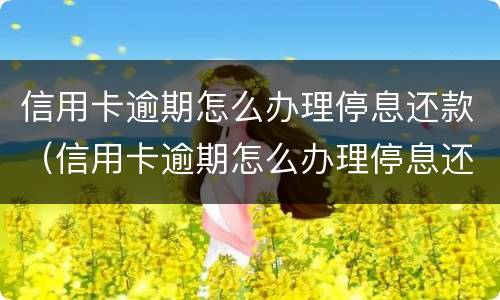 信用卡逾期怎么办理停息还款（信用卡逾期怎么办理停息还款手续）