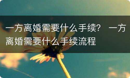 一方离婚需要什么手续？ 一方离婚需要什么手续流程