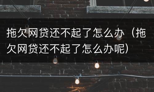 拖欠网贷还不起了怎么办（拖欠网贷还不起了怎么办呢）