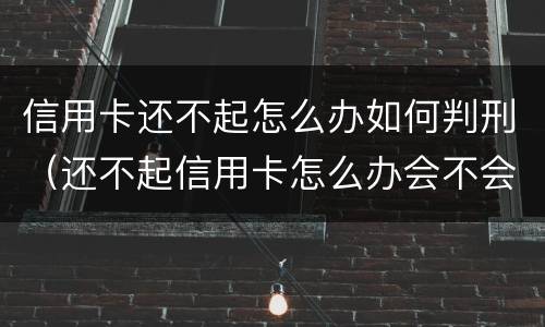 信用卡还不起怎么办如何判刑（还不起信用卡怎么办会不会坐牢?）