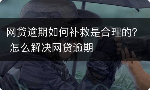 网贷逾期如何补救是合理的？ 怎么解决网贷逾期