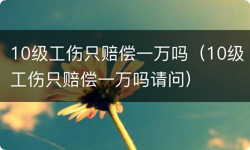 10级工伤只赔偿一万吗（10级工伤只赔偿一万吗请问）