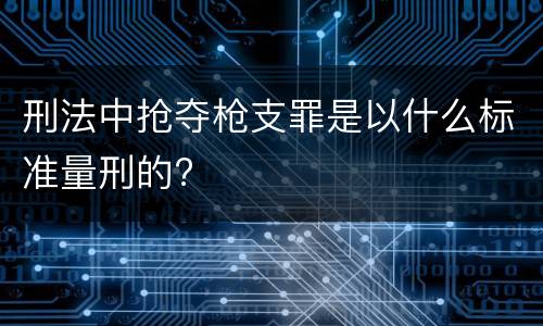 刑法中抢夺枪支罪是以什么标准量刑的?