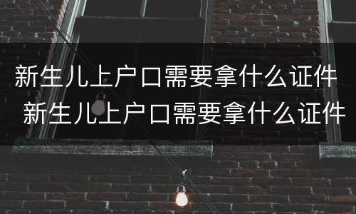 新生儿上户口需要拿什么证件 新生儿上户口需要拿什么证件和材料