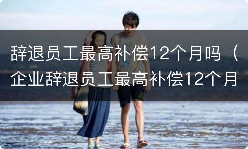 辞退员工最高补偿12个月吗（企业辞退员工最高补偿12个月工资）