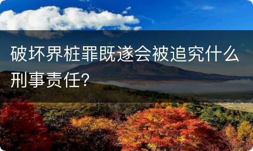 破坏界桩罪既遂会被追究什么刑事责任？