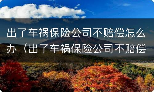 出了车祸保险公司不赔偿怎么办（出了车祸保险公司不赔偿怎么办理）