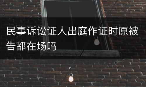民事诉讼证人出庭作证时原被告都在场吗
