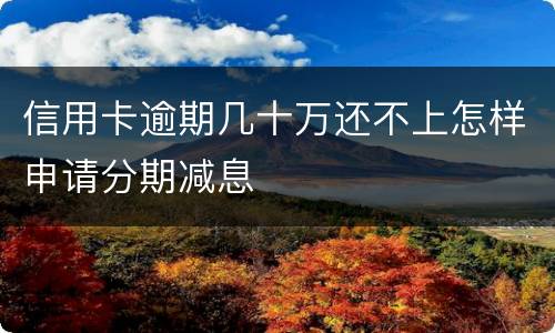 信用卡逾期几十万还不上怎样申请分期减息