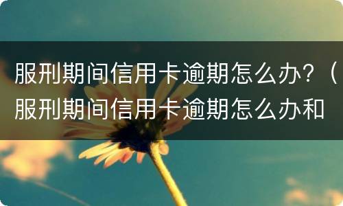 逾期信用卡透支有什么后果?（贷款逾期与信用卡逾期的后果是什么）