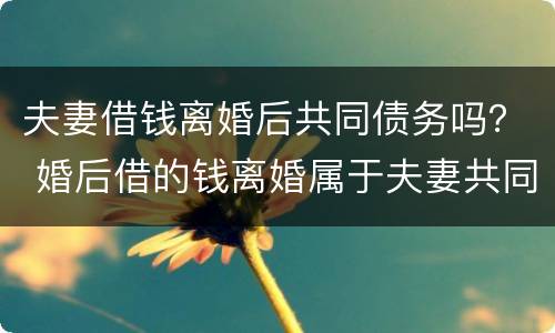 夫妻借钱离婚后共同债务吗？ 婚后借的钱离婚属于夫妻共同债务吗
