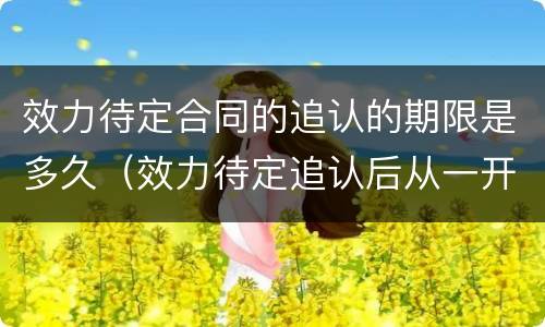 效力待定合同的追认的期限是多久（效力待定追认后从一开始就有效）