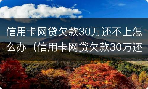 信用卡网贷欠款30万还不上怎么办（信用卡网贷欠款30万还不上怎么办呀）