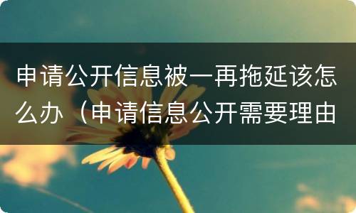 申请公开信息被一再拖延该怎么办（申请信息公开需要理由吗）