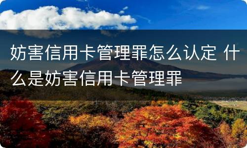 妨害信用卡管理罪怎么认定 什么是妨害信用卡管理罪