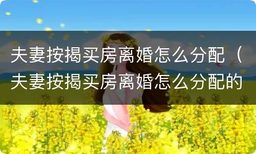 夫妻按揭买房离婚怎么分配（夫妻按揭买房离婚怎么分配的）