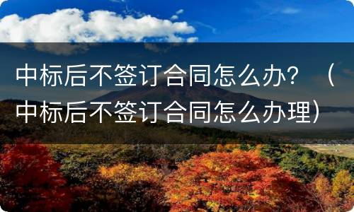 中标后不签订合同怎么办？（中标后不签订合同怎么办理）