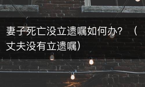 妻子死亡没立遗嘱如何办？（丈夫没有立遗嘱）