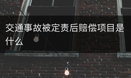 交通事故被定责后赔偿项目是什么