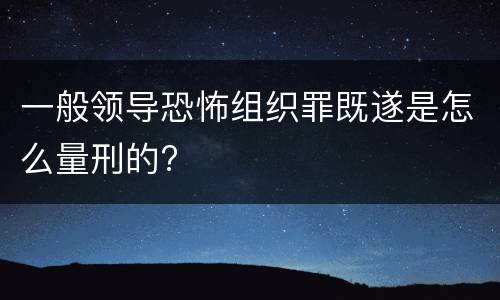一般领导恐怖组织罪既遂是怎么量刑的?