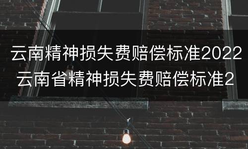 云南精神损失费赔偿标准2022 云南省精神损失费赔偿标准2020