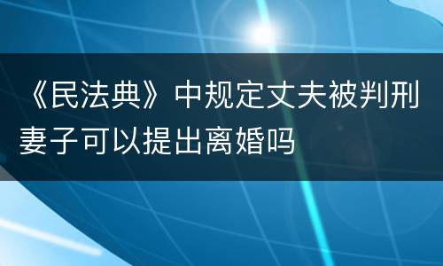 《民法典》中规定丈夫被判刑妻子可以提出离婚吗