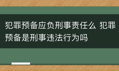犯罪预备应负刑事责任么 犯罪预备是刑事违法行为吗