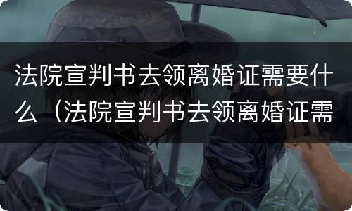 法院宣判书去领离婚证需要什么（法院宣判书去领离婚证需要什么手续）