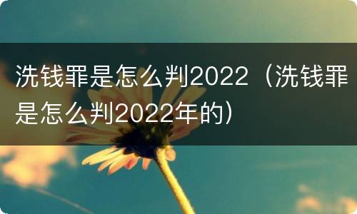 洗钱罪是怎么判2022（洗钱罪是怎么判2022年的）