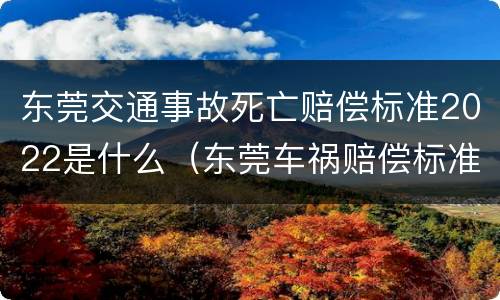 东莞交通事故死亡赔偿标准2022是什么（东莞车祸赔偿标准）