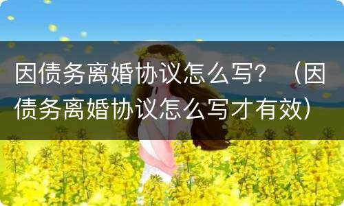 因债务离婚协议怎么写？（因债务离婚协议怎么写才有效）