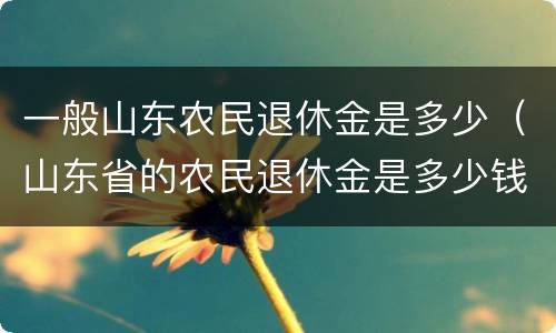 一般山东农民退休金是多少（山东省的农民退休金是多少钱）