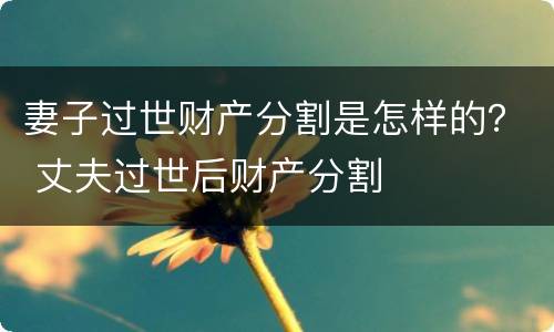 妻子过世财产分割是怎样的？ 丈夫过世后财产分割