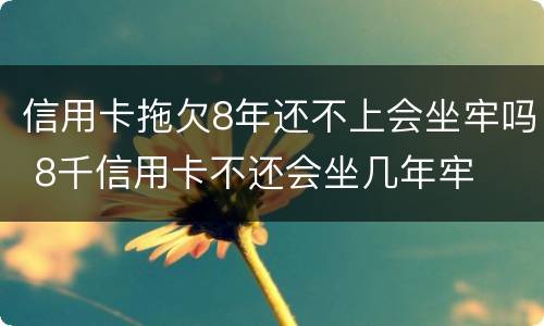 信用卡拖欠8年还不上会坐牢吗 8千信用卡不还会坐几年牢