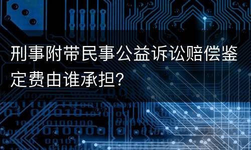 刑事附带民事公益诉讼赔偿鉴定费由谁承担？