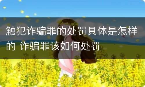 触犯诈骗罪的处罚具体是怎样的 诈骗罪该如何处罚