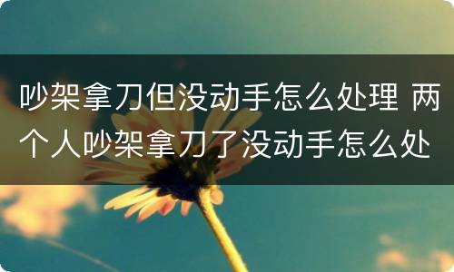 吵架拿刀但没动手怎么处理 两个人吵架拿刀了没动手怎么处理