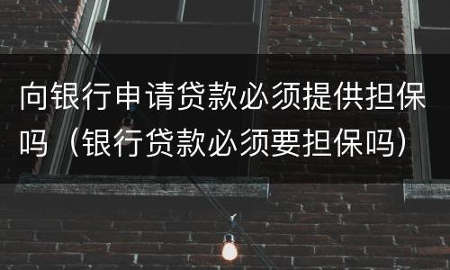 向银行申请贷款必须提供担保吗（银行贷款必须要担保吗）