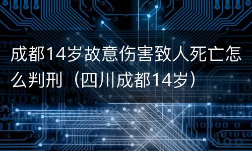成都14岁故意伤害致人死亡怎么判刑（四川成都14岁）